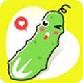 香蕉绿巨人草莓秋葵视频免费版